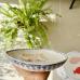 Mediterranean  Plate - 250519-6