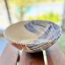 Nautilus Shell  Bowl - 250519-7