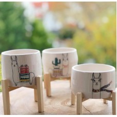 Animal Series Pot Set - SK-19SKHYV002